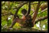spinn.delig.
