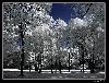 baumpark.