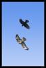 macht.spiele[3]